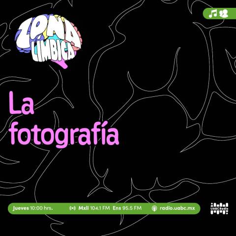 Zona límbica