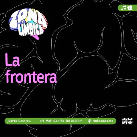 Zona límbica
